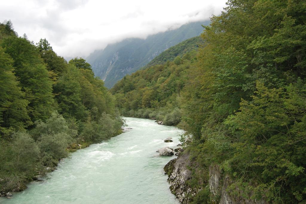 Apartment House Cviter Bovec Dış mekan fotoğraf